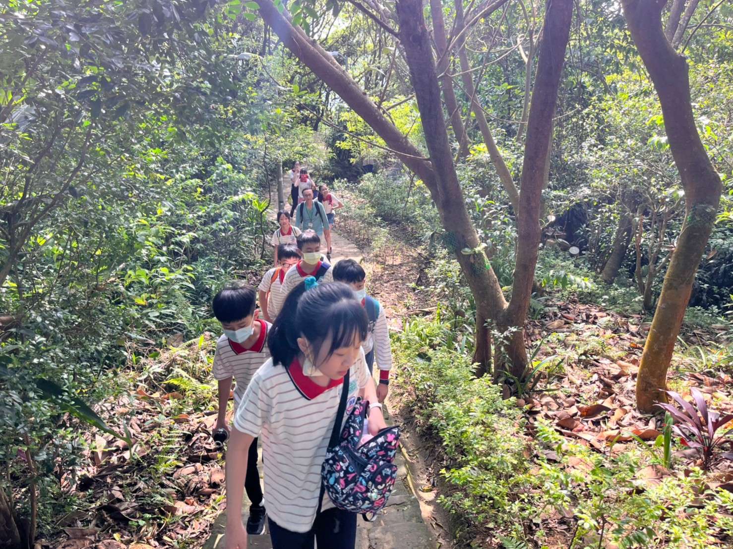 多運動能促進肌肉、骨骼及身高等身體發展(圖為新湖國小辦理親山近水登山健行活動)