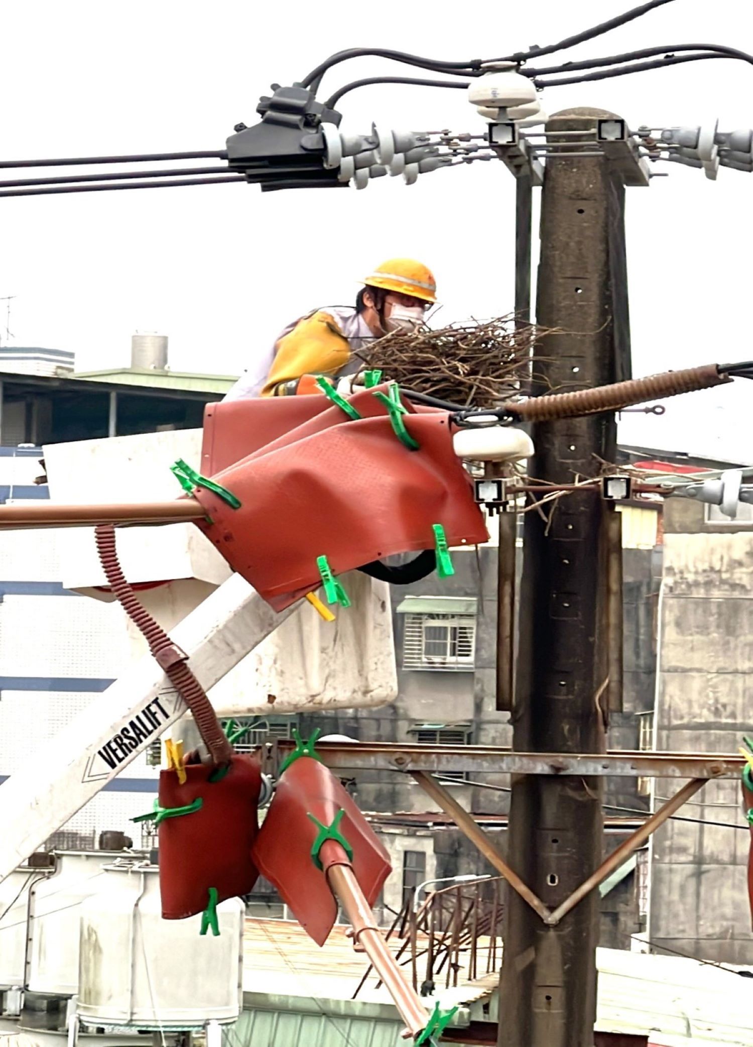 為了保護牠們的安全以及減少停電事故發生，台電北南區處已將移置鳥巢列為重點工作，於鳥類繁殖高峰增加巡視頻率。